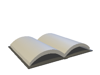 book page turn 03