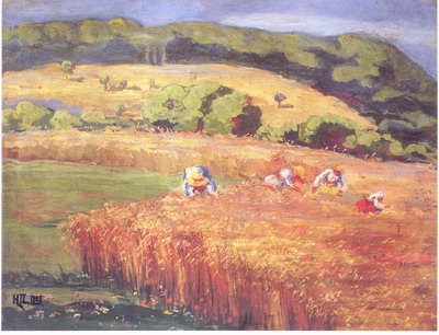 zetva